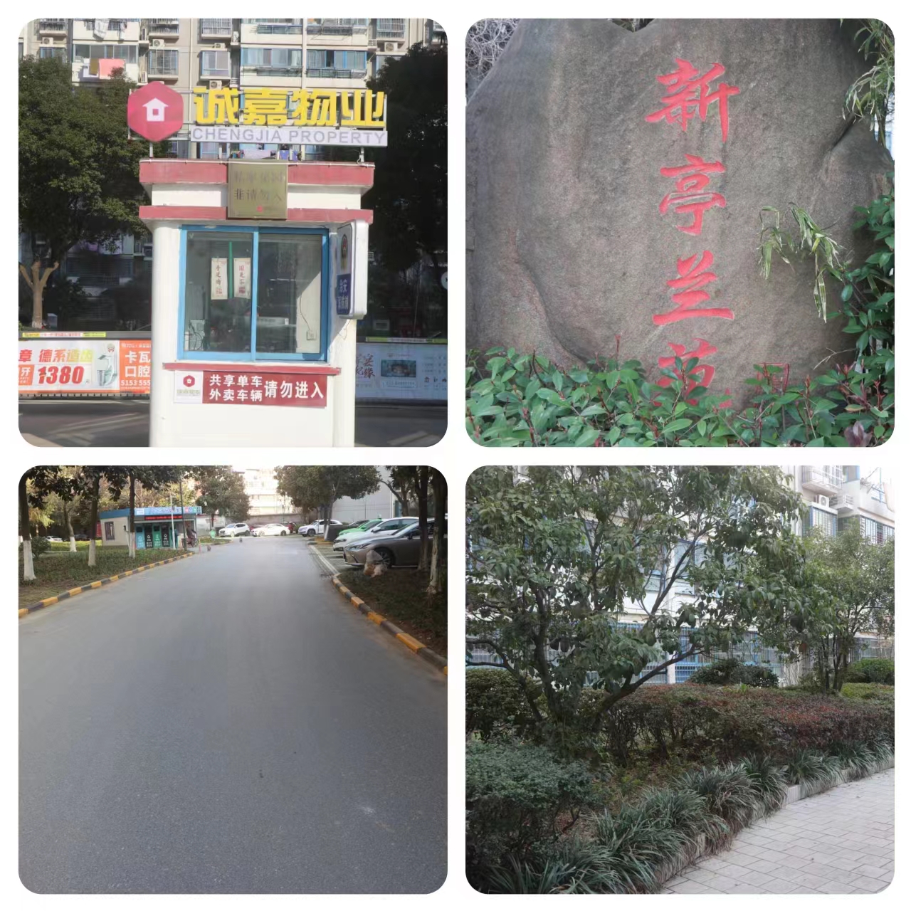新亭兰苑_环亚集团