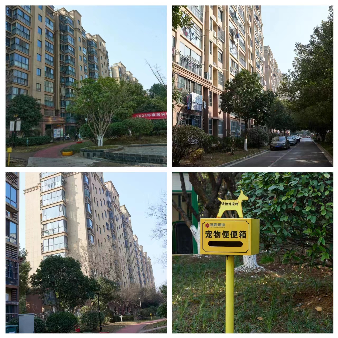 润龙锦园_环亚集团